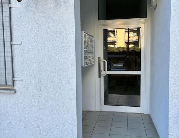 Helle 2-Raum-Wohnung im Zentrum - frisch saniert, mit Einbauküche - Photo 1