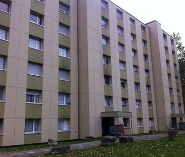 Rue Blaise-Cendrars 10, appartement 3ème Est - Photo 6