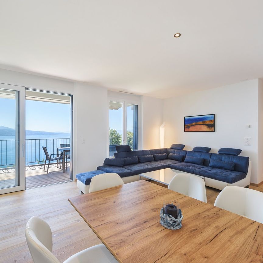 Appartement meublé de 3 pièces avec vue imprenable à Puidoux - Foto 1