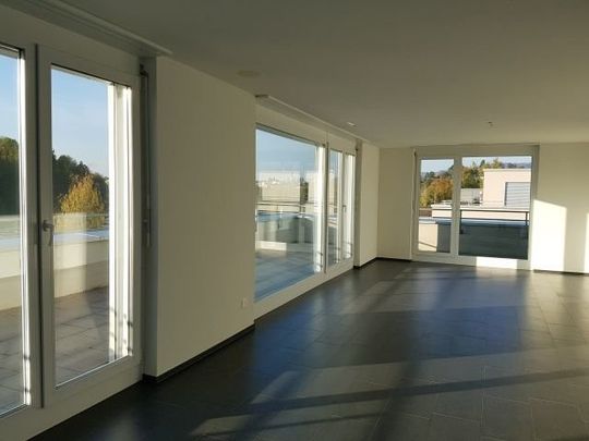 Topmoderne Familienwohnung mit grosszügiger Dachterrasse - Photo 1