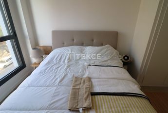 Badalona, La Morera, Barcelona, Catalonia 08918