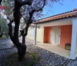 Μονοκατοικία για ενοικίαση - Ρίο, - Photo 6