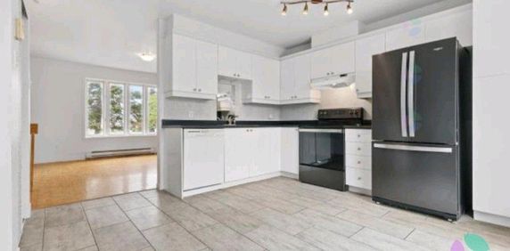 maison à louer laval St-francois - Photo 2
