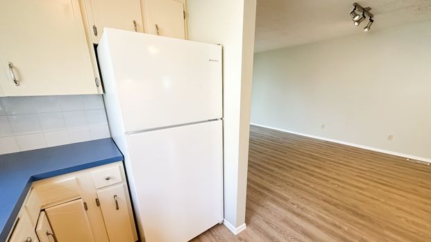 Main Floor Bowness Duplex: Utilities Included. - Photo 1