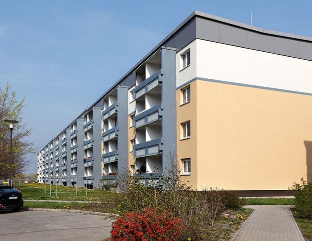 Hier stimmt der Preis - Foto 1