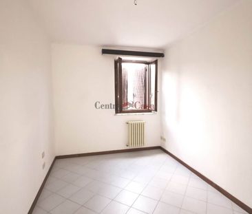 Grazioso tricolare in contesto di corte. - Photo 3