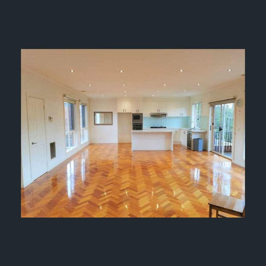 Light-filled Living in a Quiet, Convenient Pocket - Photo 1