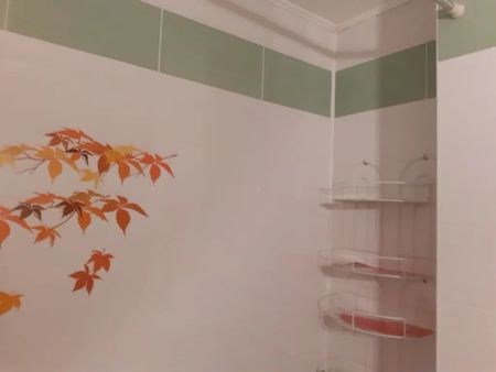 Închiriez apartament 2 camere central - Photo 5