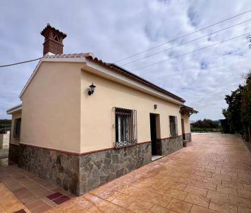 Alquiler de finca rústica en Calle Cruz de San Roque, 59 - Foto 1