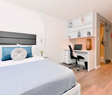 Large Classic Studio - Photo 6