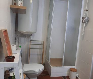 Appartement à louer, 2 pièces - Saint-Jean-de-Braye 45800 - Photo 3
