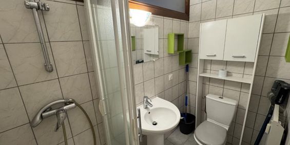 Location Appartement 1 pièce Meublé 30m² CHAMBERY 73000 - Photo 3