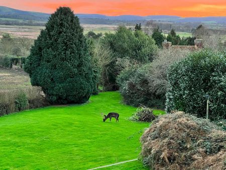 3 bedroom detached house to rent - Photo 5