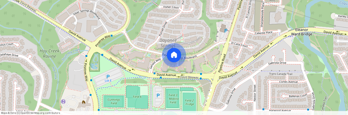 3132 Dayanee Springs Blvd, Coquitlam