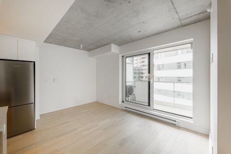 100 Rue Murray, #808 - Photo 5