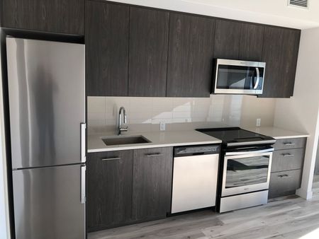 Bachelor Unit at River Landing Downtown - Photo 4