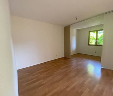 Appartement 1 pièce - 46 m² - Photo 2