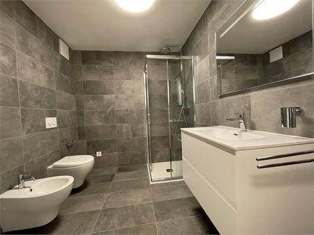 Gudo, appartamento 2.5 locali con terrazzo - Foto 4