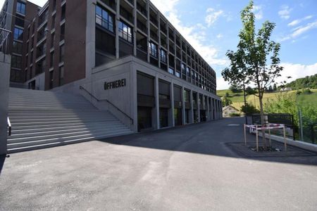 Above the roofs of Mels - Photo 5