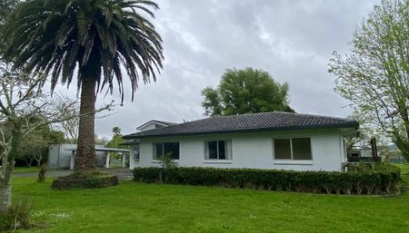 Roomy home for rent in Dairy Flat - Photo 3