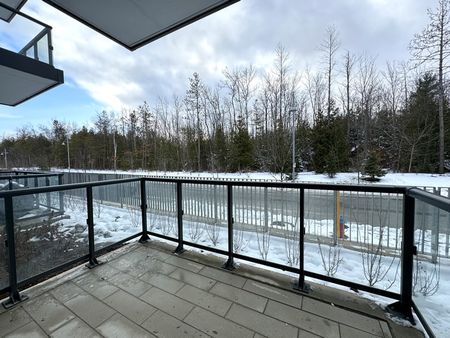 Friday Harbour Resort: Brand New 1 Bed, 1 Bath Main Floor Condo in the New High Point Building - Photo 4