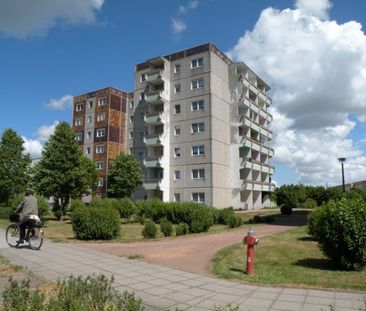 Altersfreundliches Wohnen mit Aufzug! - Photo 1