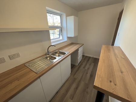 Ben Culey Drive, Thetford - Photo 5