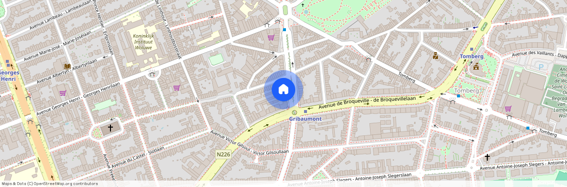 Avenue du Roi Chevalier, 13, 1200, Woluwe-Saint-Lambert