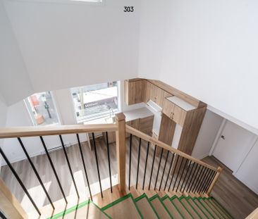 Condo for rent, Montréal (Rosemont/La Petite-Patrie) - Photo 3