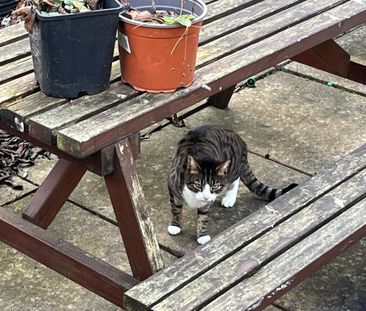 2 bedroom terraced house to rent - Photo 6