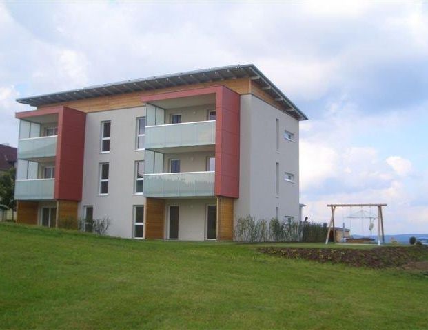 4252 Liebenau, Liebenau 175/005 - Foto 1