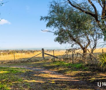 1/40 Siroset Close, Dunlop ACT 2615 - Townhouse For Rent | Domain - Photo 5