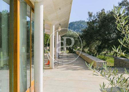 Villa for rent in Pollensa - Photo 4