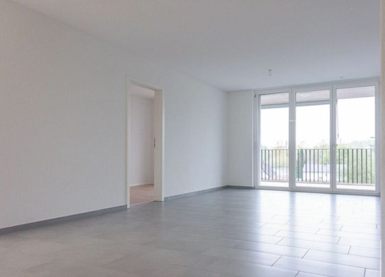 Brugg / 2.5 Zimmer Wohnung 3.3 - Foto 1