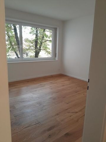 Charming apartment near Schützenmattpark - Photo 2