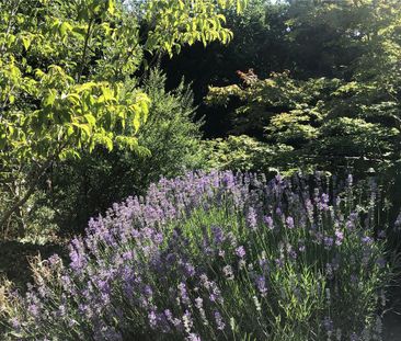 3 bedroom house to rent - Photo 4