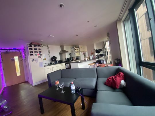 Room in a Shared Flat, Bagot Street, B4 - Photo 1