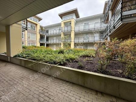 5XXXX Grimmer Street Unit 222 Burnaby - Photo 4