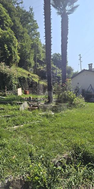 TRANQULLA E SPAZIOSA CON GIARDINO - Foto 1