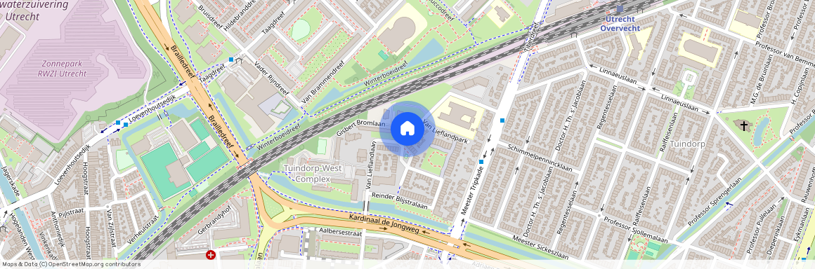 Tuindorp en Van Lieflandlaan-West, 3571 BJ, Schimmelpennincklaan, Utrecht