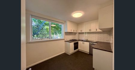 Leafy Cul-de-Sac Living in the Heart of South Yarra - Photo 4