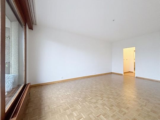 Beautiful 6-room apartment through apartment near Ecolint - Photo 1