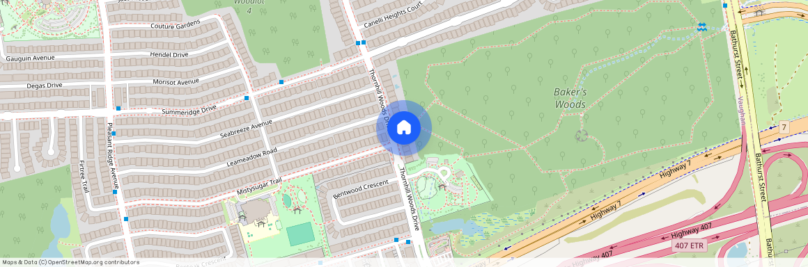 119 Thornhill Woods Drive, Vaughan