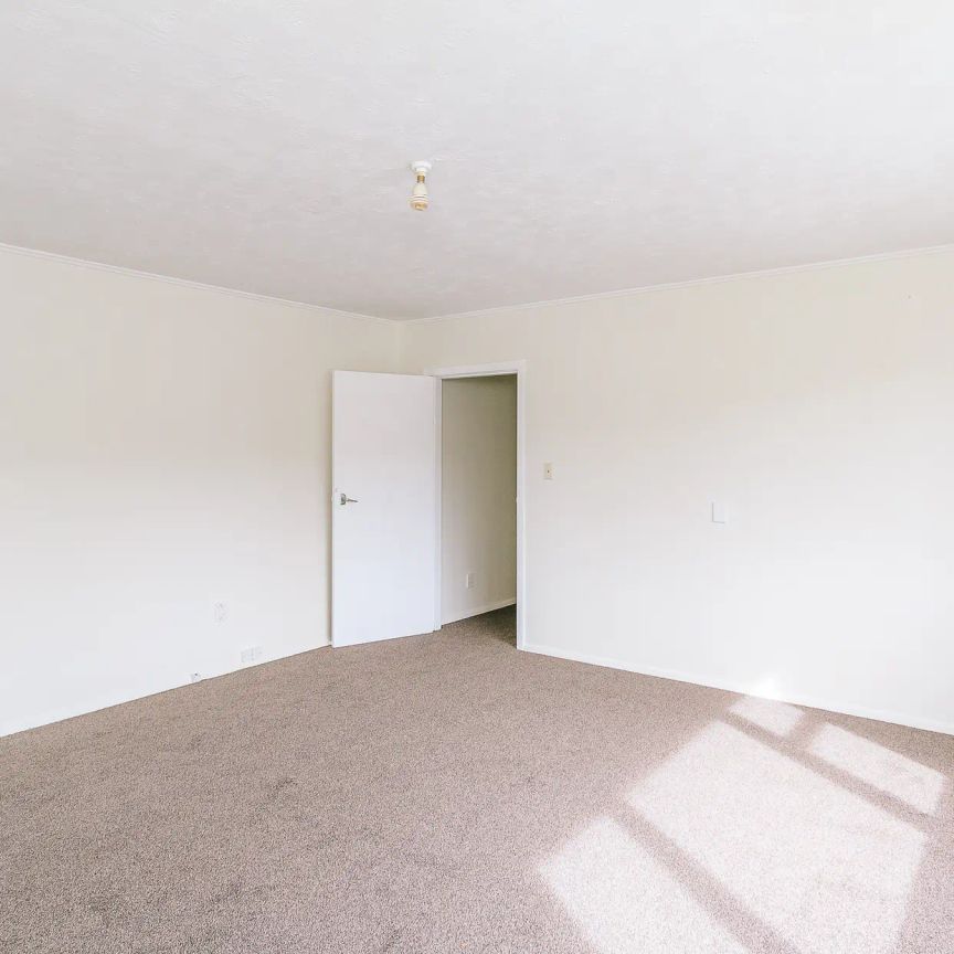 8 Thomson Grove - Photo 1