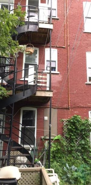 5 1/2 - Montréal (Verdun) - 1 785 $/mois - Photo 1