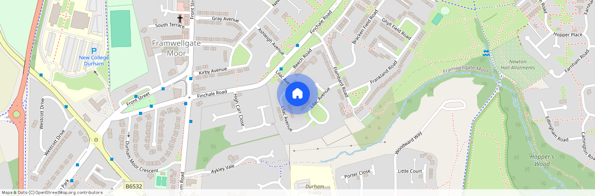 Lilac Avenue, Framwellgate Moor, DH1 5JD