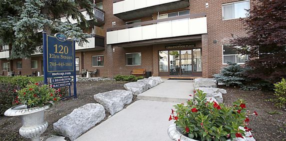 Collingwood Place - Photo 2