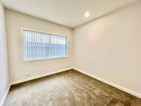 Brand New Granny Flat! - Photo 4