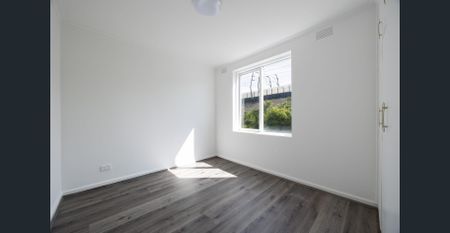 What A Stunner!!! - Photo 5