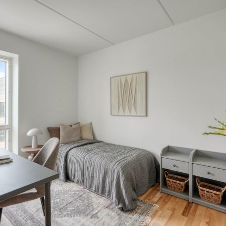 Moderne boliger i smukke omgivelser - Photo 3